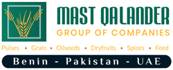 Mast Qalander Group