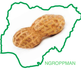 NGROPPMAN-logo